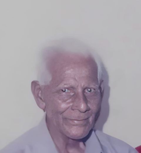 Committee member: JOSEF