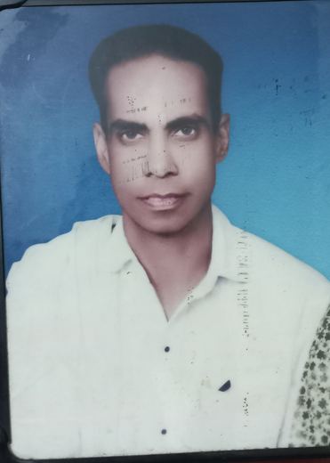 Committee member: D. JORGE